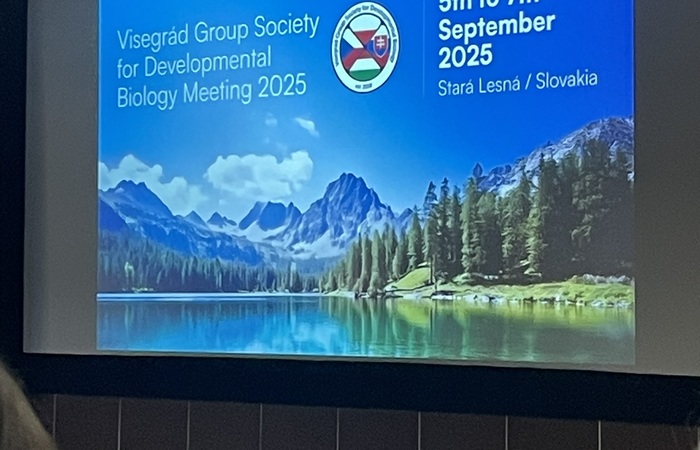 ANTE PARTUM na konferencji V4SDB 2025 na Słowacji